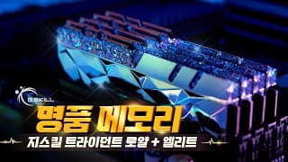 메모리 맞음? 너무 럭셔리합니다! 지스킬 트라이던트 Z 로얄 엘리트 !