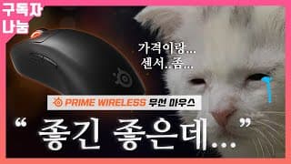 스틸시리즈 프라임 무선 게이밍마우스 정말 좋긴 좋은데...
